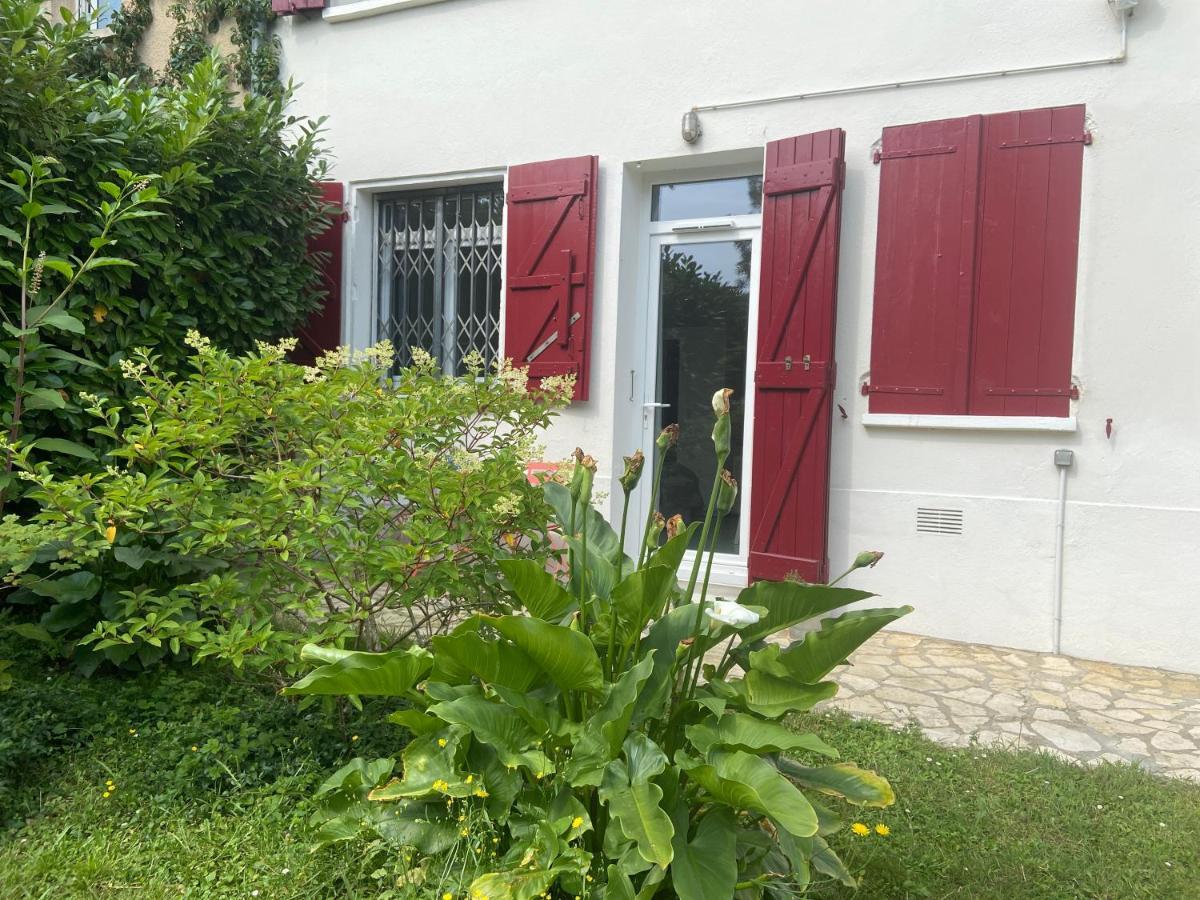 Sweet Home - 55M2 Appartment, Garden, Swimming Pool, Parking Toulouse Eksteriør billede