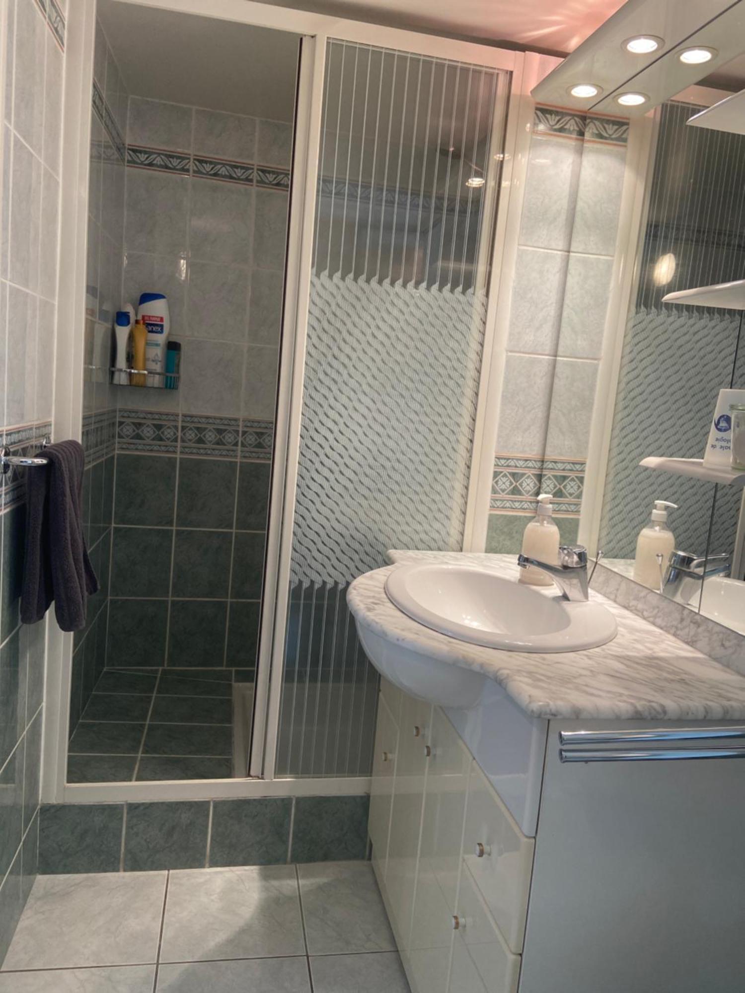 Sweet Home - 55M2 Appartment, Garden, Swimming Pool, Parking Toulouse Eksteriør billede