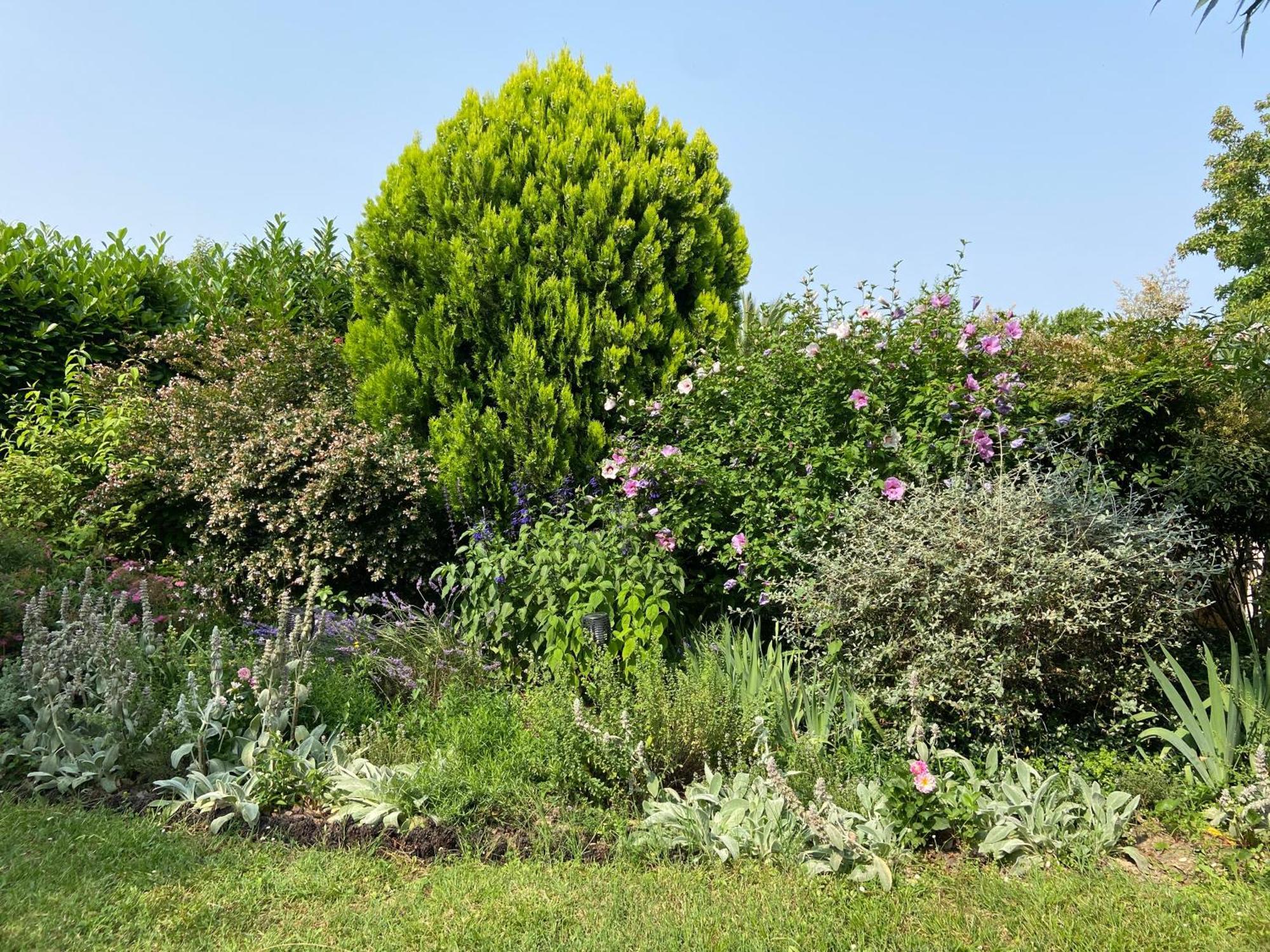 Sweet Home - 55M2 Appartment, Garden, Swimming Pool, Parking Toulouse Eksteriør billede